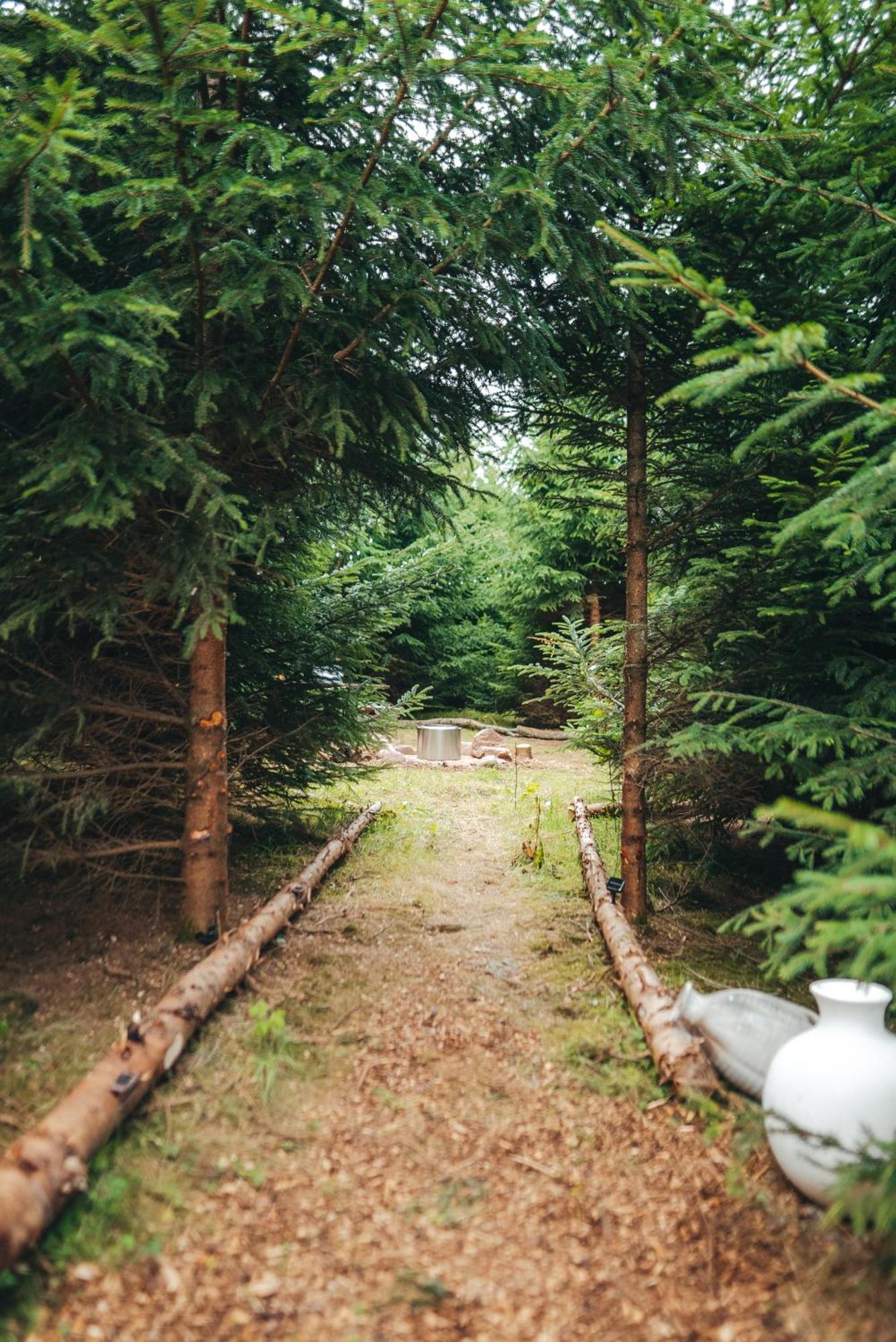 Cosy Forest Lodge Penrhos  Exterior foto