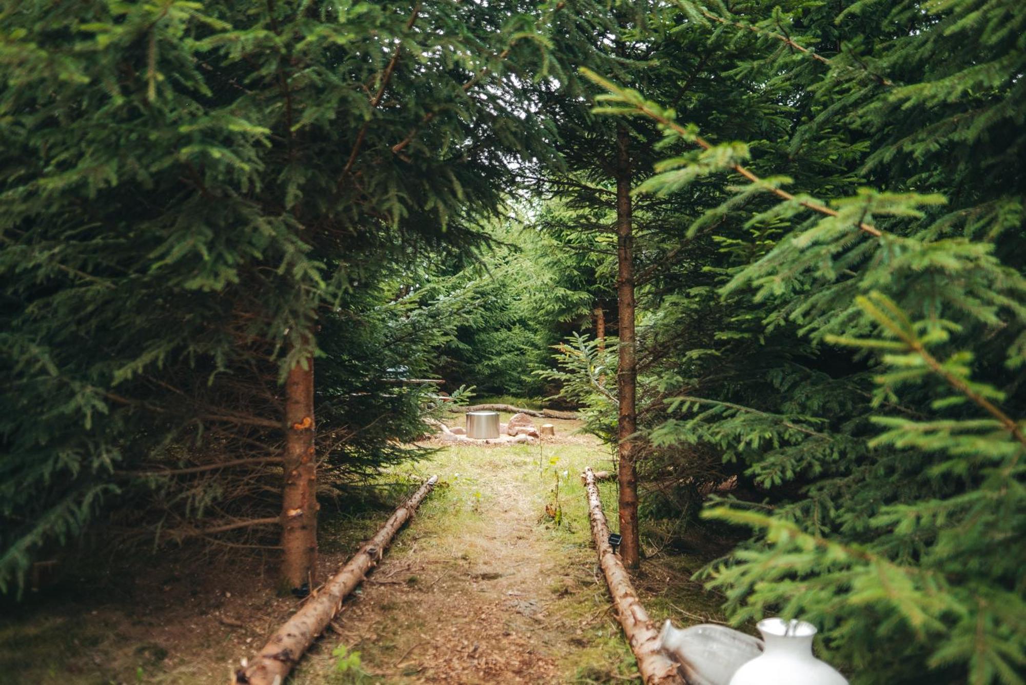 Cosy Forest Lodge Penrhos  Exterior foto